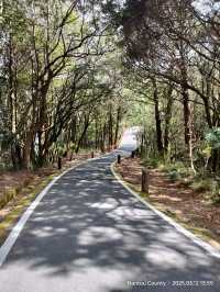 จุดชมวิว Zhushan Station Mt.Okasawara Alishan