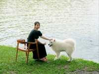 Mesook Farm