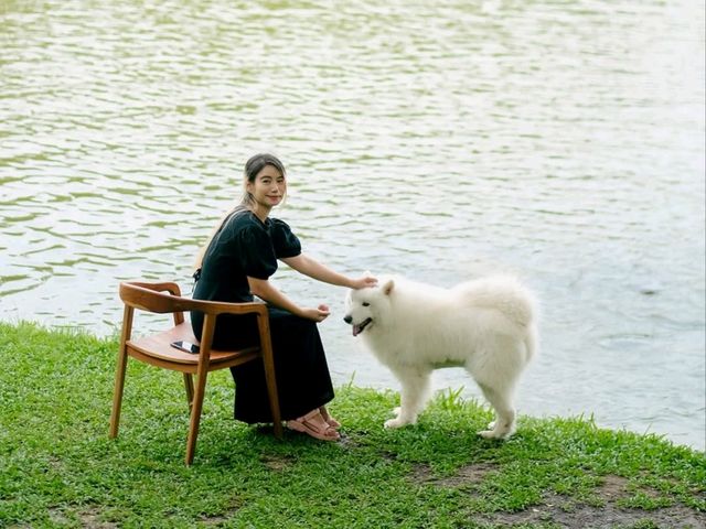 Mesook Farm