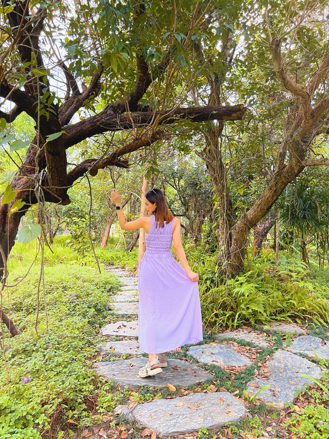 สวนป่า ๑๐๐ ปี จังหวัดนครนายก