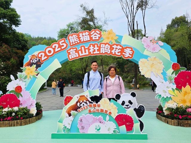 Chengdu Day Trip – Panda Valley, Qingcheng Mountain & Dujiangyan with Ancient Town Vibes!