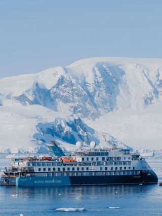 Antarctica Adventure | Real Review of the Sylvia Earle by Aurora Expeditions