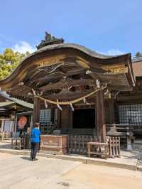 武田神社で心リセット。歴史感じる空気とおみくじ体験！