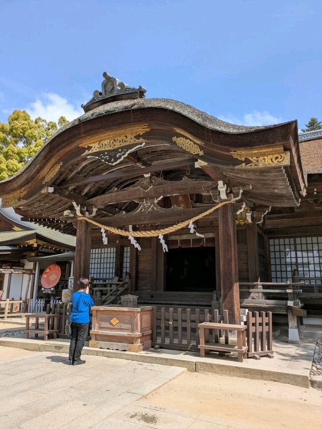 武田神社で心リセット。歴史感じる空気とおみくじ体験！