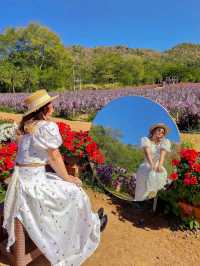 Hokkaido Flower park Khaoyai