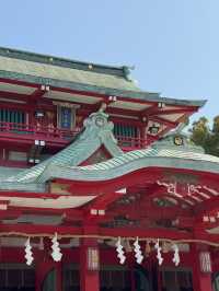 東京｜富岡八幡宮的櫻花風情