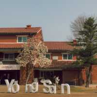 Yongsan Family Park จึดเช็คอินฮิตที่โซล