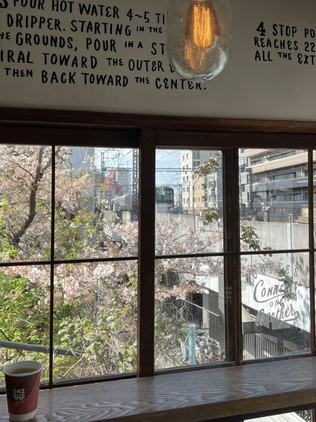 一個人悠閑賞櫻🌸 