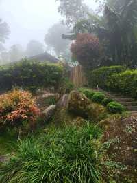 A Hidden Zen Garden in the Clouds — Japanese Village at Genting