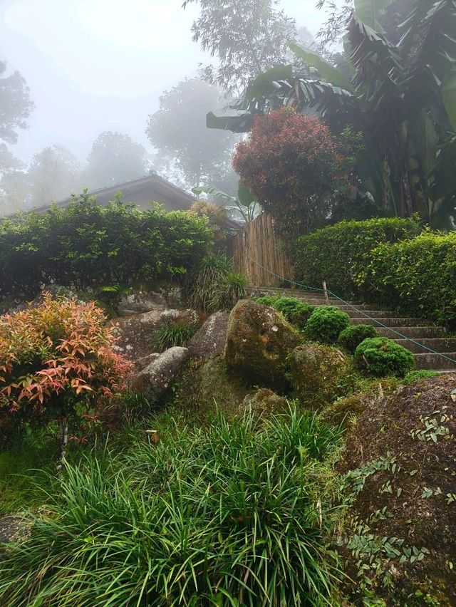 A Hidden Zen Garden in the Clouds — Japanese Village at Genting