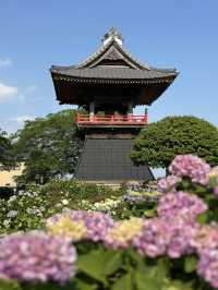 【埼玉】あじさい寺として親しまれていて鐘楼堂の梵鐘と紫陽花とのショットが有名