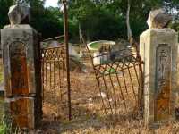 🌿 Bukit Brown Cemetery: Singapore’s Wild, Forgotten Jungle of Stories 🕵️♂️ 