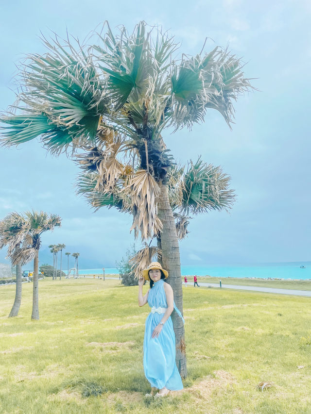Hoa Liên - thành phố mộng mơ. 