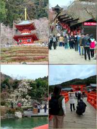 大阪勝尾寺🧧人氣祈福🙏，打卡寺院