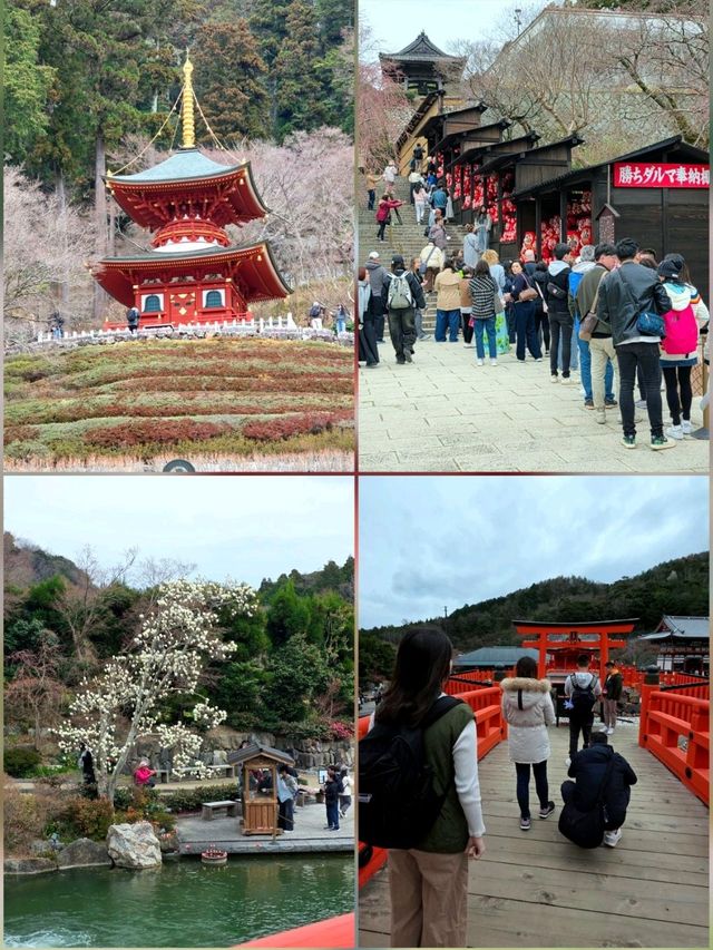 大阪勝尾寺🧧人氣祈福🙏，打卡寺院