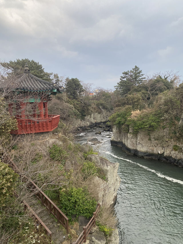 Yongyeon Pond เกาะเชจู