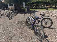 【メンドーサのワイナリー巡り】自転車で走る、ブドウ畑とワインの道。