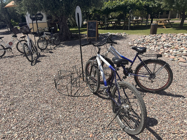 【メンドーサのワイナリー巡り】自転車で走る、ブドウ畑とワインの道。
