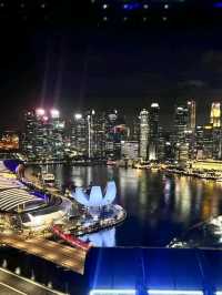 Above the City: A Breathtaking Ride on the Singapore Flyer
