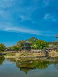 🇰🇷언제나 아름다운 우리나라 경복궁🇰🇷 