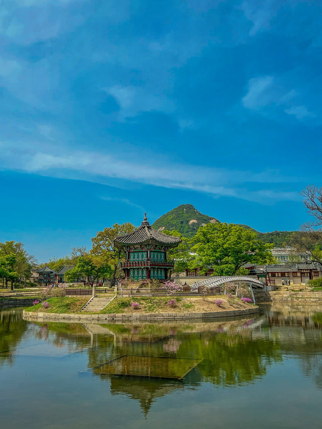 🇰🇷언제나 아름다운 우리나라 경복궁🇰🇷 