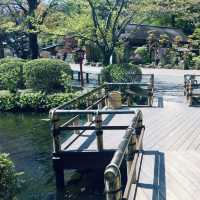 Kibitsu Shrine, Okayama – A Moment of Tranquility