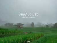 ป่าบงเปียงในฤดูฝน เชียงใหม่