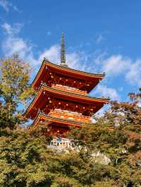 🪆Kiyomizu-dera Temple Review: A Timeless Icon with a View to Remember
