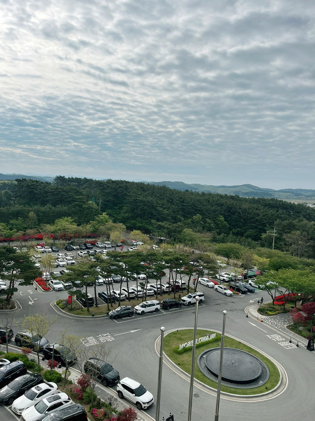 [안면도] 가족여행 안성맞춤! 리솜리조트🏝️
