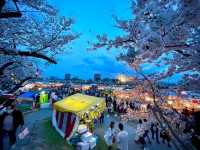 A Hidden Gem for a Peaceful Stroll in Okazaki City Minami Park