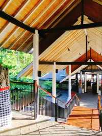 🌴 Escape to Tropical Bliss — Turi Beach Resort, Batam!