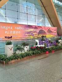 A SWEET FLORAL SURPRISE AT KUNMING INTERNATIONAL AIRPORT
