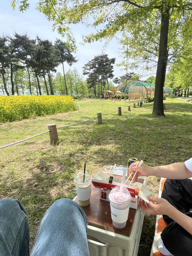 서울근교데이트 구리한강시민공원 봄꽃나들이🌼