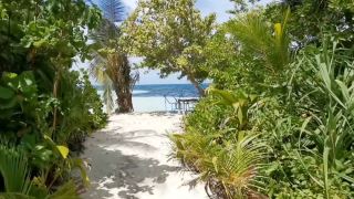 Maldives Local Island 