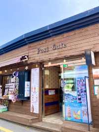 【釜山】絶対に行きたい カラフルな街「甘川文化村」