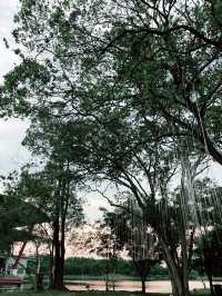 “Wind Chime Island: A Serene Escape”