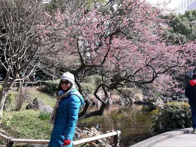 Yokohama Diaries: Coastal Breezes, Skyline Views & Cultural Gems