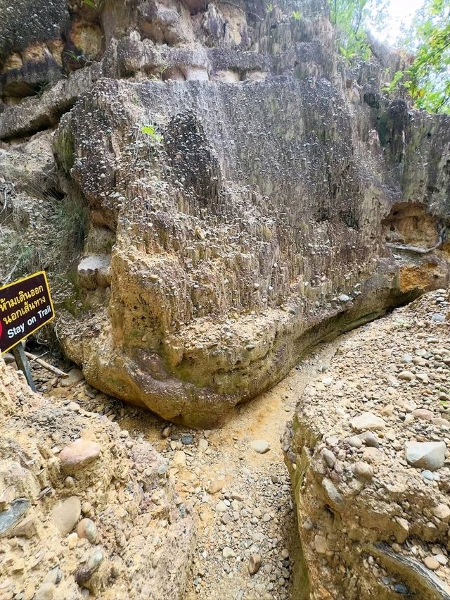 Chiang Mai’s Hidden Springtime Oasis
