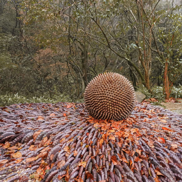 "Rokko Meets Art" งานศิลปะท่ามกลางธรรมชาติ🌿