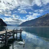 Turquoise Dreams at Lake Brienz: Where Mountains Kiss the Water