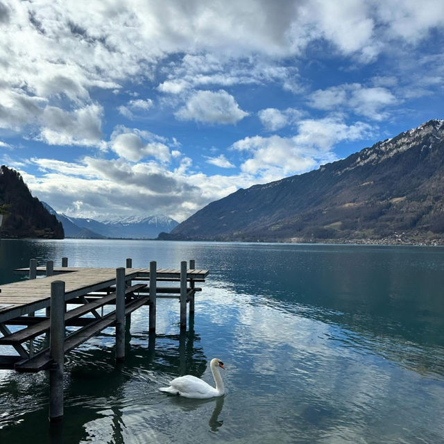 Turquoise Dreams at Lake Brienz: Where Mountains Kiss the Water