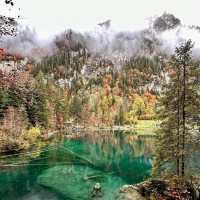 Blausee: Switzerland’s Hidden Blue Jewel in an Emerald Forest