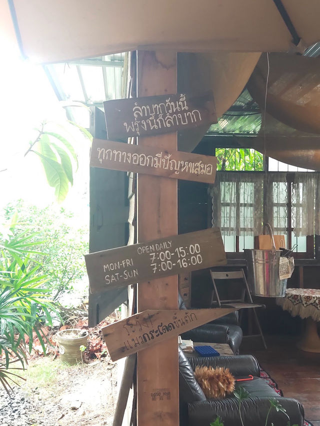 คาเฟ่ใต้ต้นไม้ใหญ่สุดชิล ในศรีราชา🌳