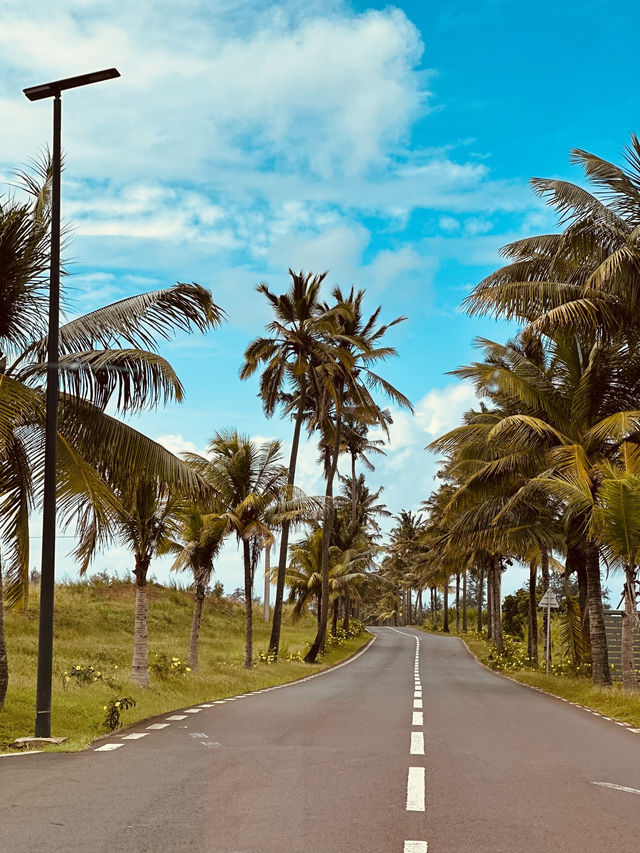 Chamarel’s Rainbow Earth & Waterfall: A Must-Do Family Day in Mauritius