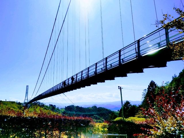 絶景の橋！三島スカイウォーク