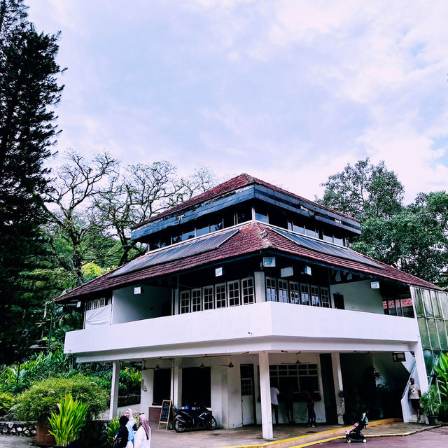 Weekend City Escape: Serenity at Perdona Botanical Garden 
