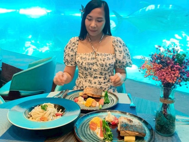 Aquarium สุดว้าวววว✨️