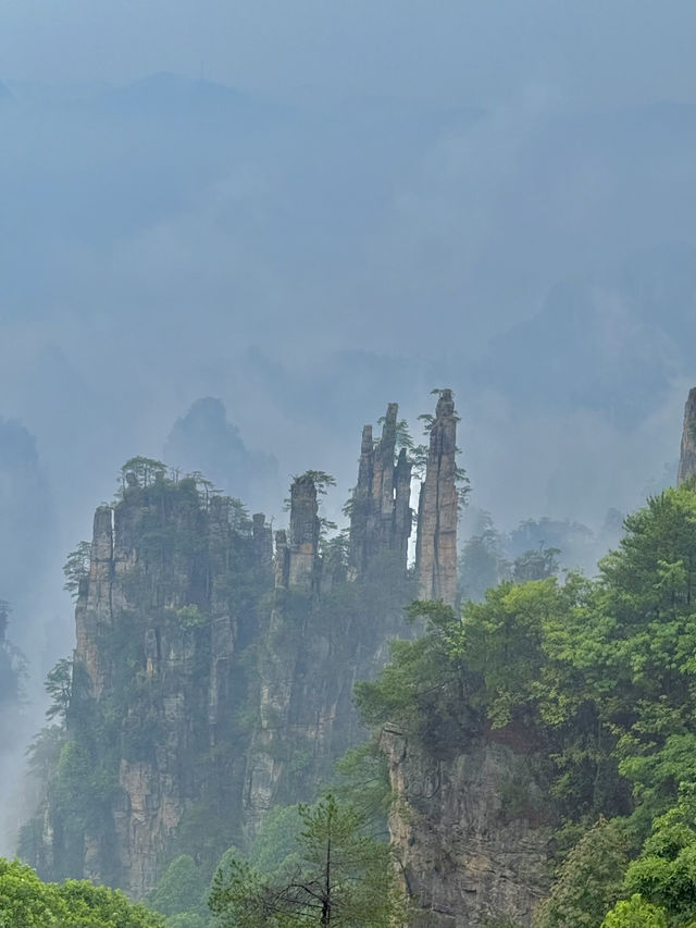 Zhangjiajie National Forest via the South Entrance