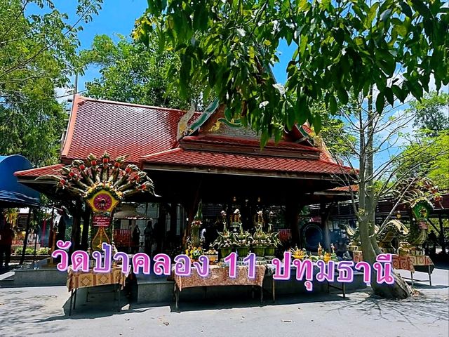 วัดป่าคลอง 11 ปทุมธานี (คำชะโนด 2) สายพญานาคราช