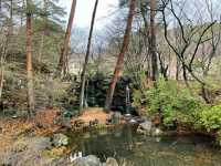 Hakone Venetian Glass Museum – A Magical Fusion of Art and Nature